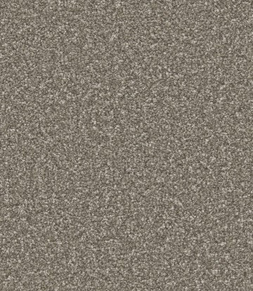 Apollo Plus Cinder Grey